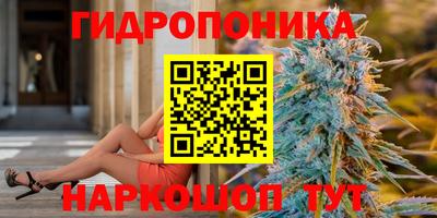 амф Камышлов