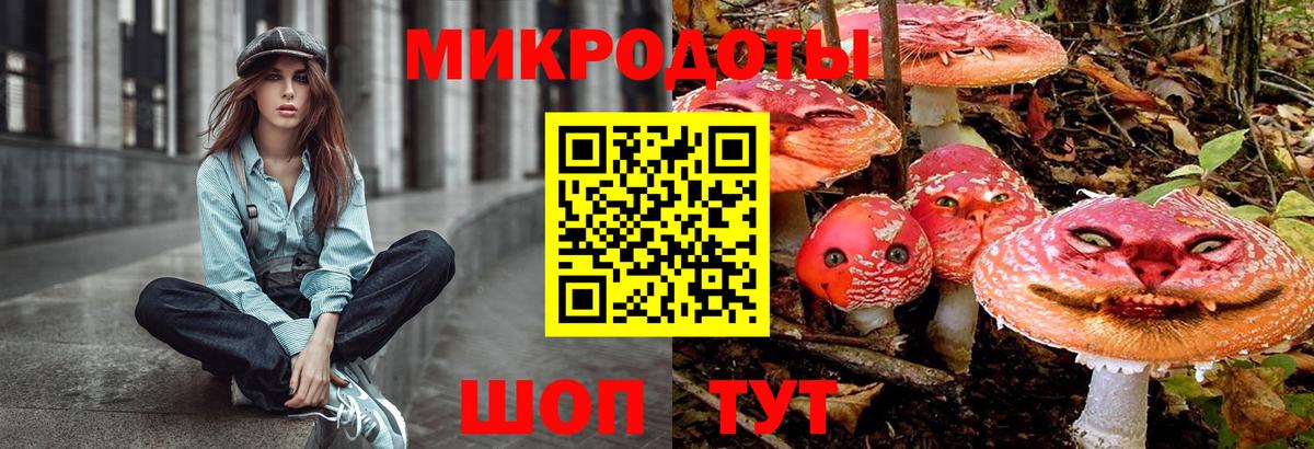 Псилоцибиновые грибы Psilocybe Магадан